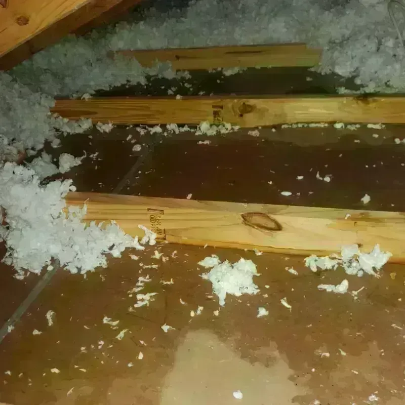 Attic Water Damage in Green Valley, CA